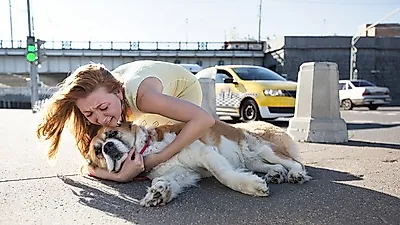 사랑하던 반려동물의 사망...상실감 극복하려면