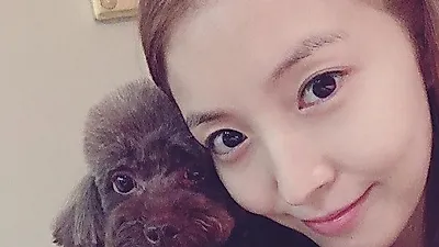 보아, 반려견 파마 향한 남다른 애정 "너무너무 예뻐"