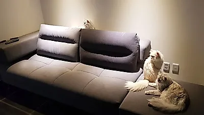 폴레나쇼파, 내집 쇼파 "아쿠아클린소파로 바꾸기" 이벤트