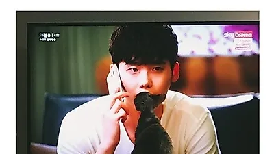 박보람 반려묘, 이종석에게 시선 고정 "어쩔 수 없는 여자구나"