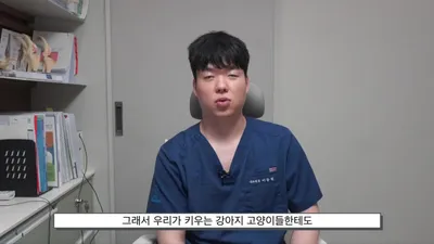 페퍼민트·유칼립투스 성분 포함된 방향제, 반려동물 간 해독에 부담 줄 수 있어
