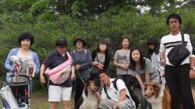 동물보호단체 카라, 올림픽 공원서 산책모임 예정