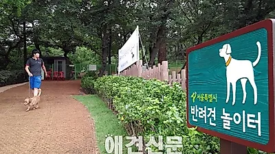 [포토]반려견놀이터 이모저모 '동물등록 확인중'