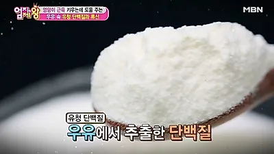 [단백질 음식 추천] '유청단백질'이 뭐길래?…근육 잡아주는 '마법의 가루'라고?