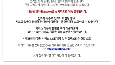 실시간 접속자 폭주한 '내보험 찾아줌' 사이트, 새로 개편된 이후 숨어있는 보험금 찾으려는 사람들↑