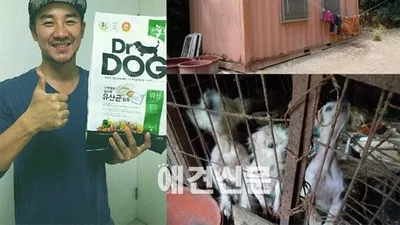엄태웅, 애견인 다운 '훈훈한 선행'