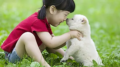 반려견 스트레스 해소법 3가지