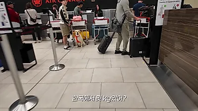 캐나다 유기견 다다의 한국행, 밴쿠버 경유 중 급한 배변 미션 성공