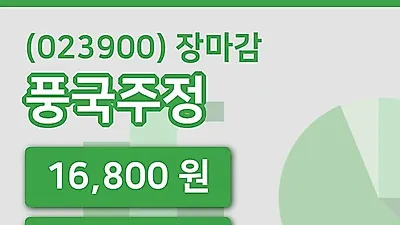 국내주식마감풍국주정 14일 16,800원 마감그래프분석