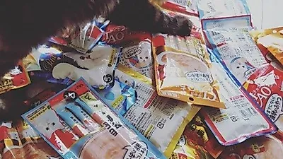 서유리 반려묘, 간식 더미 속에 파묻혀 "안먹어도 배불러!"