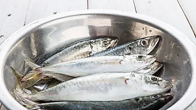 도다리 효능, 원기 회복에 좋고 노화 방지 효과도…'도다리 쑥국 만드는 법은?'
