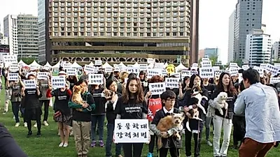 경찰, 동물사랑실천협회대표 소환조사