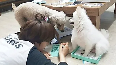 트와이스 정연, 바닥에 누워 반려견들과 깜찍 포즈