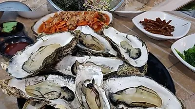 남해 바다의 보물 '굴', 겨울 식도락객 입맛 사로잡은 통영 맛집 '동피랑쭈굴'