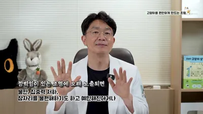 고양이 스트레스 줄이는 실내 환경, 조명·소음·냄새 관리법