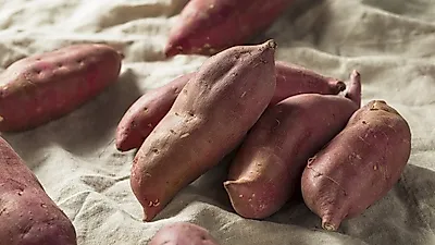 [고혈압에좋은음식] 제철 맞은 호박고구마 효능은?...고구마 맛있게 찌는 법과 에어프라이어 고구마 요리까지