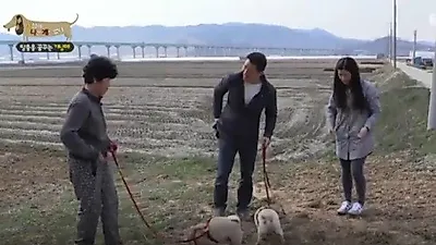 반려견 산책이 대소변 훈련에 좋다?