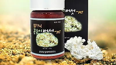 발효현미버섯 제품들, 꽃송이버섯 함량과 가공 형태 알고 선택해야