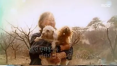 '리얼스토리 눈' 300마리 유기견 돌본 백설공주의 여름나기