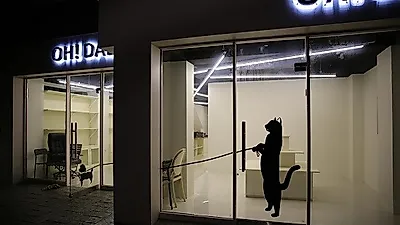신촌 애견용품 샵 'OH! DALI', 애견미용 및 다양한 서비스로 눈길