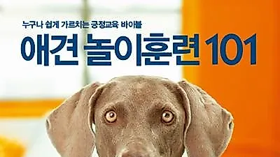 [책]애견 놀이훈련 101