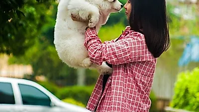 반려동물에 대한 지식, '펫맘스쿨'에서 무료로 배워요
