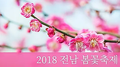 벚꽃축제와는 색다른 즐거움 '광양매화축제 2018'