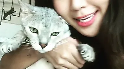 효린 반려묘 레고, "귀찮다냥"