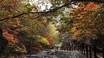 서울 인근 경기도 단풍길 명소 베스트…시흥·화성부터 소요산까지 여행 추천!