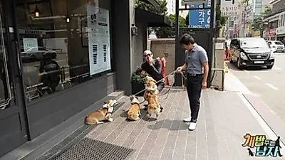'개밥 주는 남자' 웰시코기 삼둥이, 보금자리 생긴다