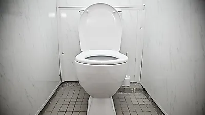변기 막힘 해결하기