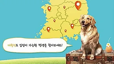 반려견과 갈 수 있는 펜션은? '반려견과 함께 떠나는 펜션 베스트 150위' 전자책 출간