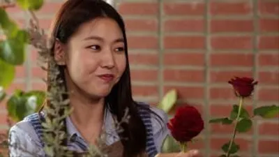 '스타일 라이킷'서 인테리어 트렌드 '홈가드닝' 정보 소개