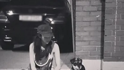 채수빈, 길가에 반려견과 나란히 앉아 "무슈 힘드니"