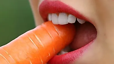 [건강요리]   영양이 가득한 '다이어트 도시락'… 인기 메뉴인 '닭가슴살' 활용법 다양해