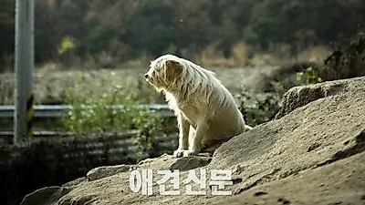 김삼열 작가의 포토에세이 #7 '기다림'