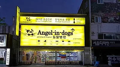 울산 강아지분양 엔젤인독스 애견샵 2018년 첫 할인분양 진행