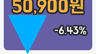 게임빌 2일 50,900원 장종보고