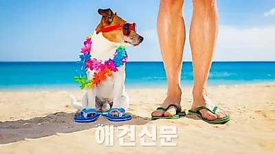 반려견과 떠나는 8월 여행 "앵두야, 어디 갈까?"