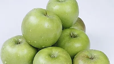 일년에 한번 짧은 기간에만 먹을 수 있는 풋사과의 효능은 일반사과에 비해 높다?