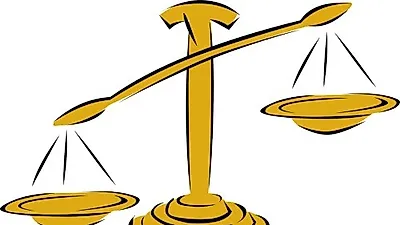 반려견 정수리 망치로 학대한 주인…벌금 500만원 선고