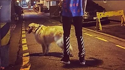 이정신, 반려견 심바와 밤 산책 중 "너무 더워..."