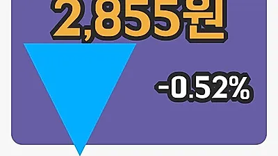 주식마감한빛소프트 28일 2,855원 장종료...