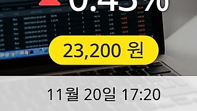 대상 20일 23,200원 장종보고