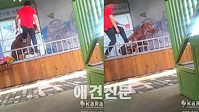 동물학대로 고발당한 '쥬쥬동물원', 경찰수사 시작