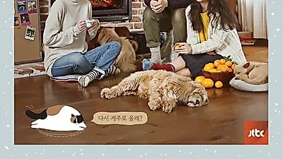 '효리네 민박2' 포스터 공개…이효리·이상순·윤아와 제주 겨울의 낭만 속으로 떠나볼까?