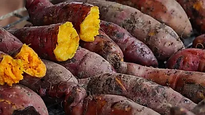 [살빠지는 음식]  '적게 먹고 배부르게'… 대표적인 다이어트 음식  '고구마' 효능+부작용+먹는 법