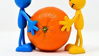 카라카라 오렌지, 맛·효능 두 마리 토끼 잡다