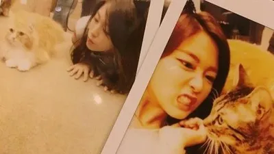 설현, 고양이와 즐거운 한때 포착