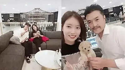 강아지분양 펫갤러리아·펫제이, 푸들·비숑프리제 이벤트 강남·김포 함께하는 유기견 후원